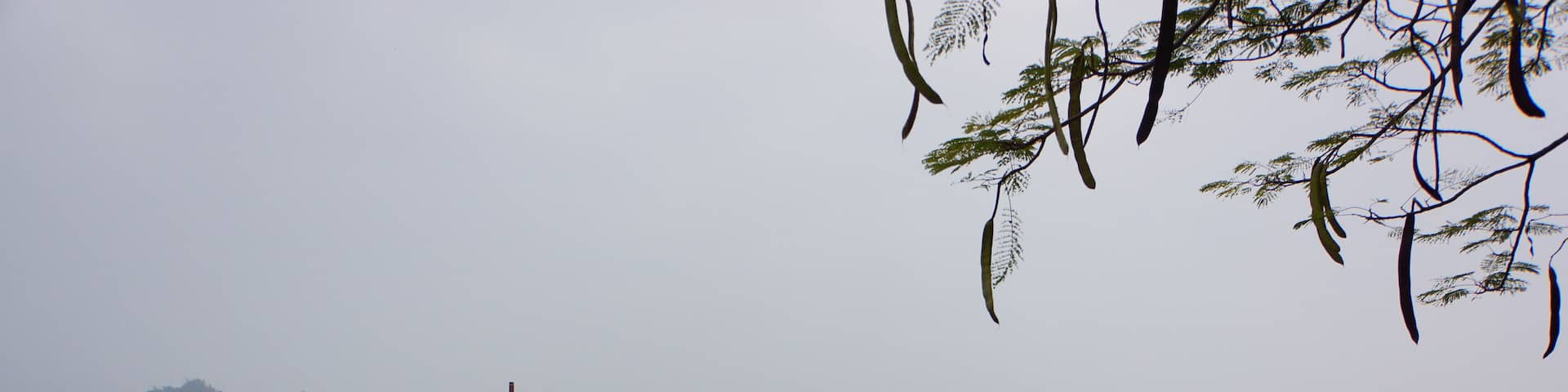 Meinong Zhongzheng Lake 美濃中正湖