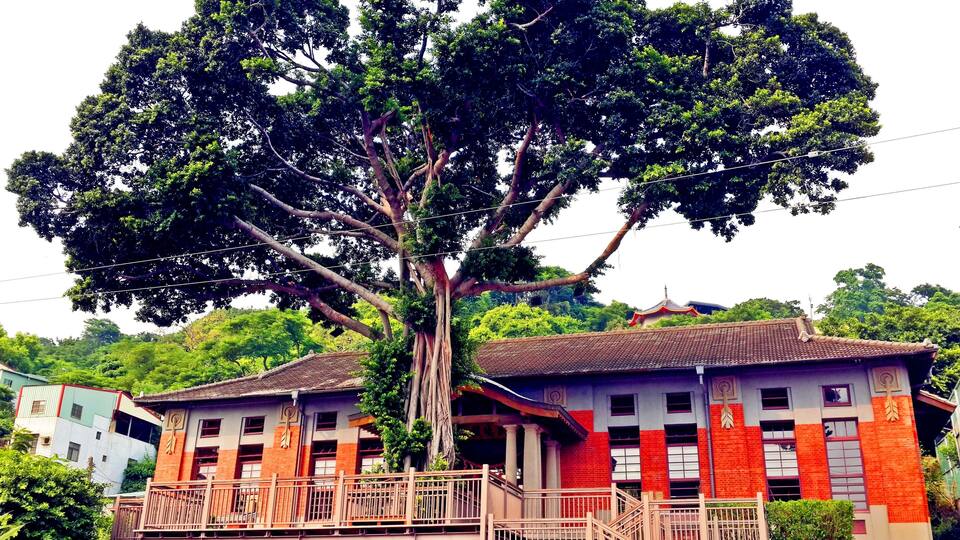 Un árbol grande frente a un edificio de fachada roja y blanca.
