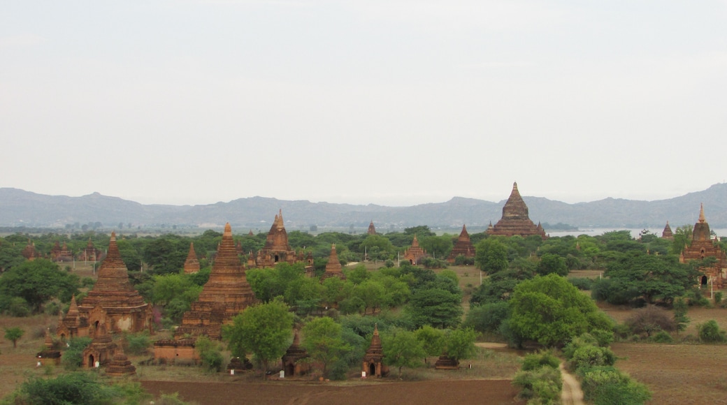 What a great holiday we are having.