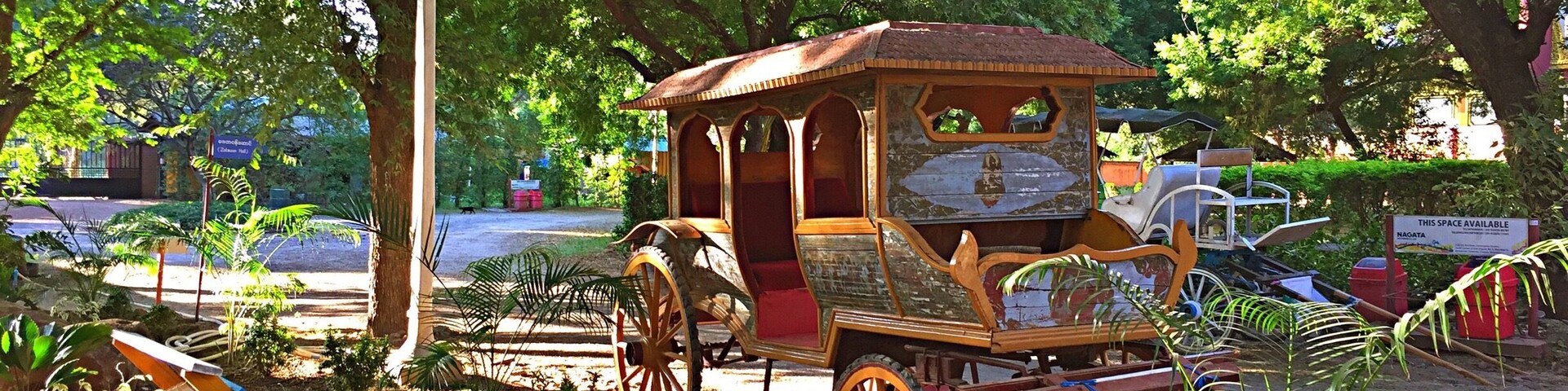 Un antiguo carruaje de madera con interior rojo, rodeado de árboles y plantas.