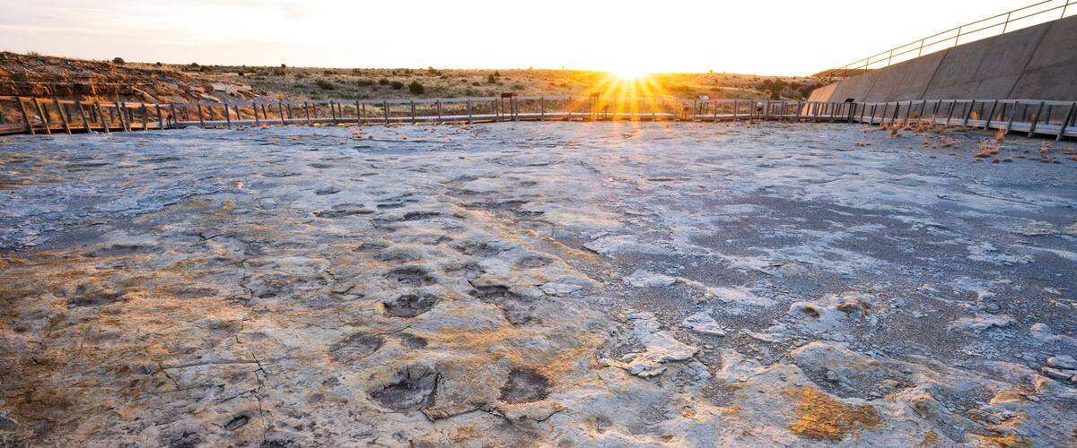 Petrified dinosaur tracks at sunrise at Clayton Lake State Park and Dinosaur Trackways, New Mexico