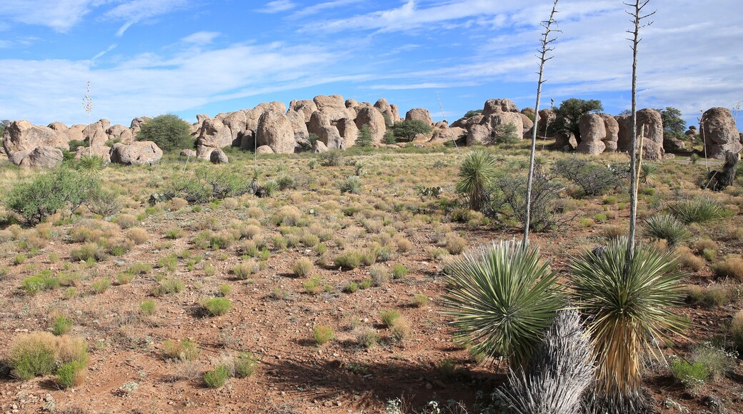 City of Rocks State Park in New Mexico, USA