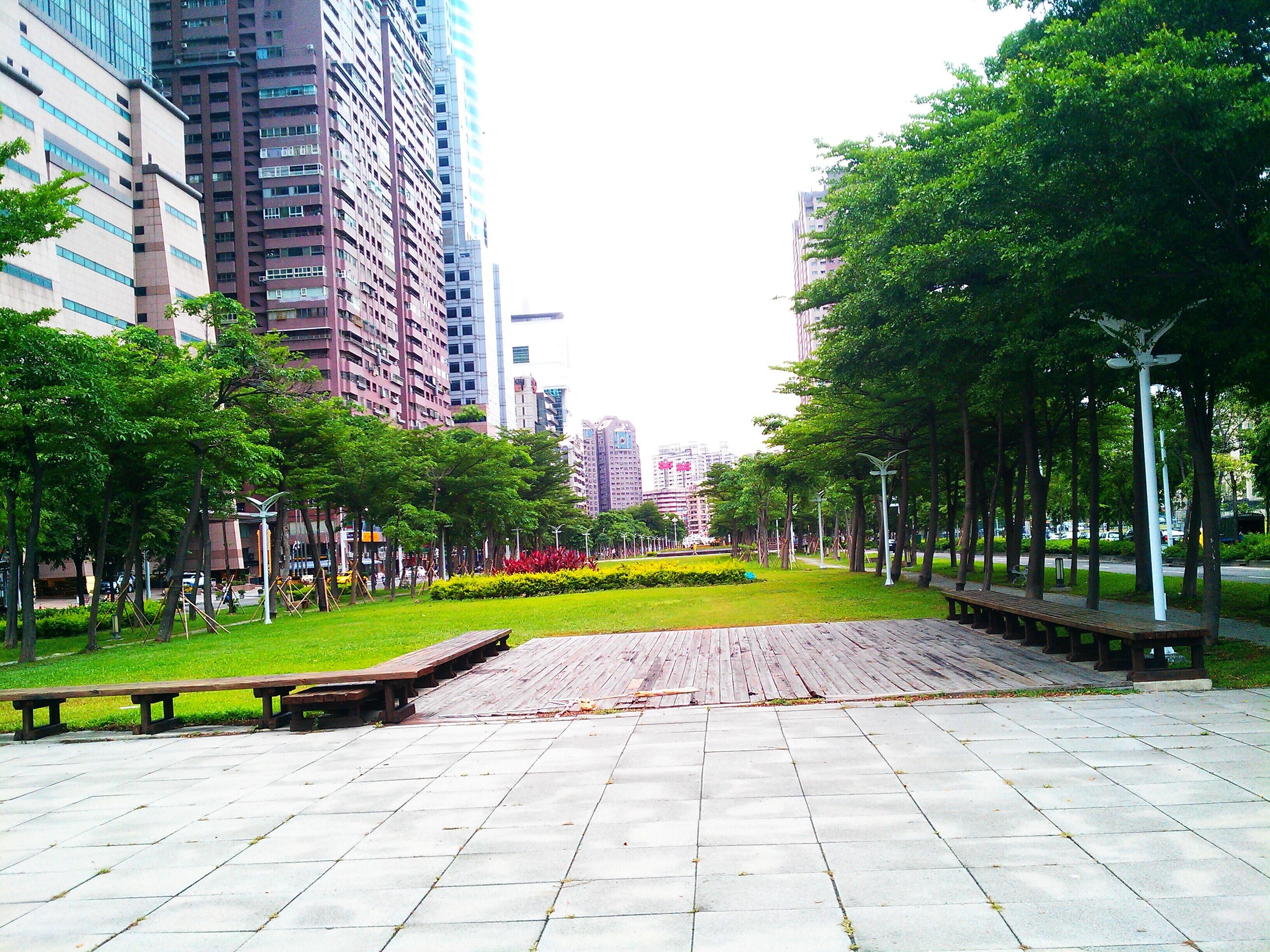 高雄市苓雅區新光路。