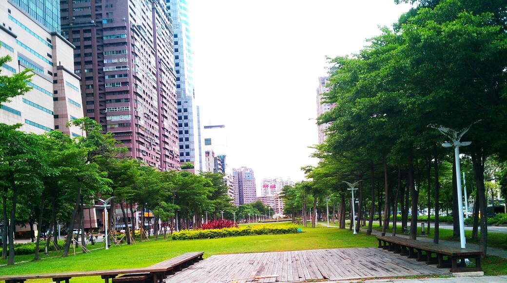 高雄市苓雅區新光路。