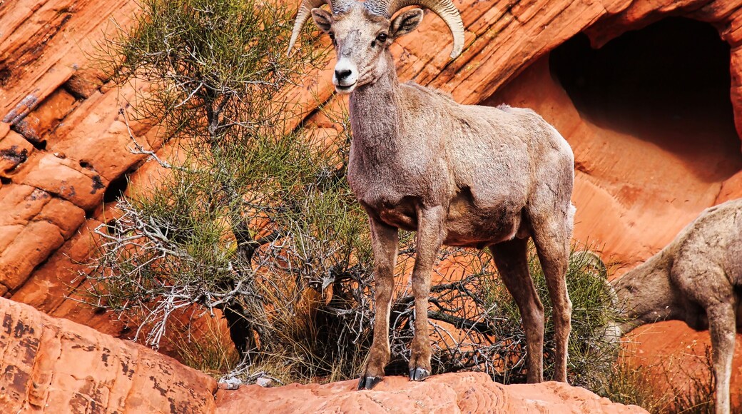 Spring Valley State Park