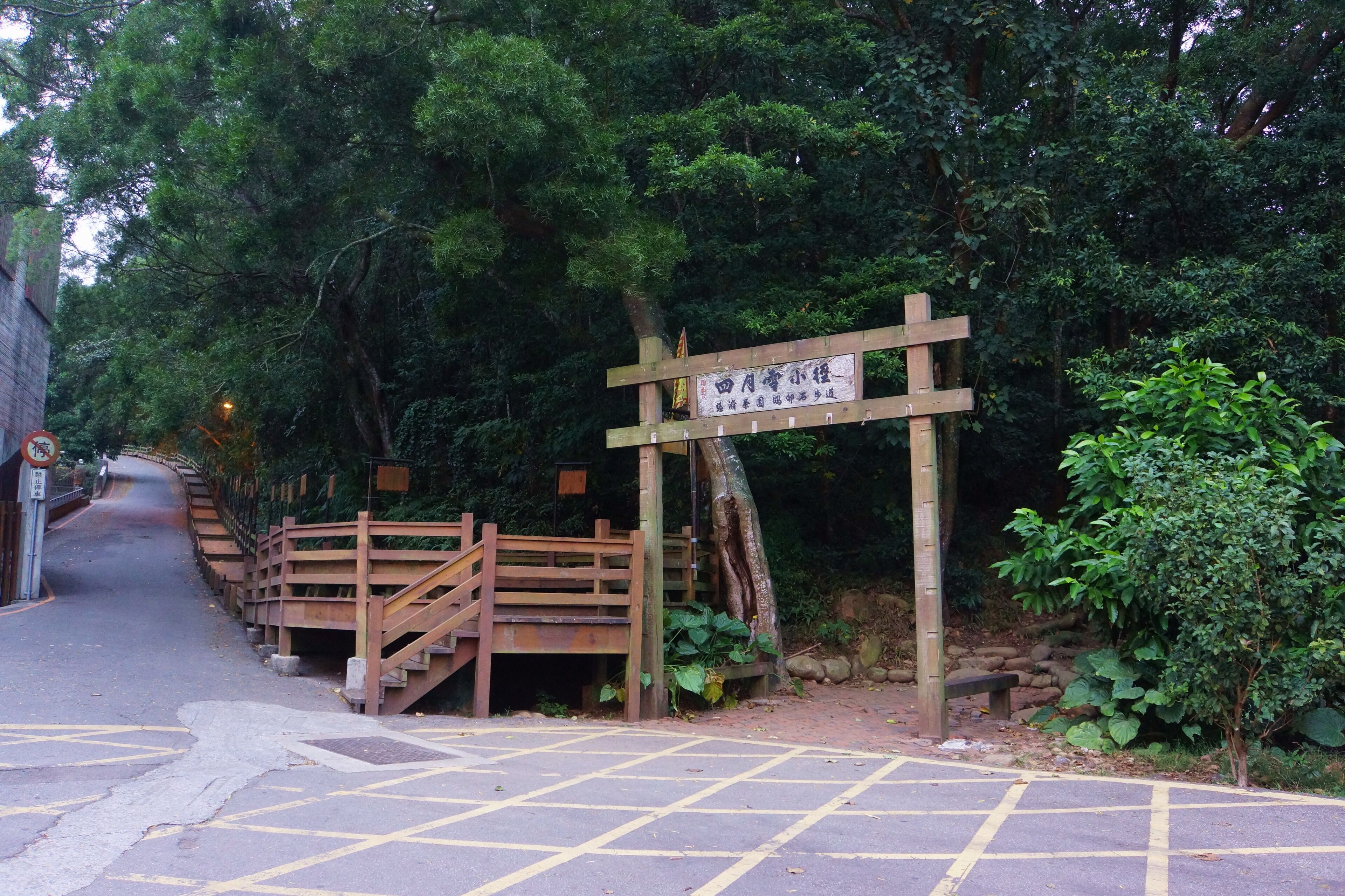 四月雪小徑 Aegiceras Trail