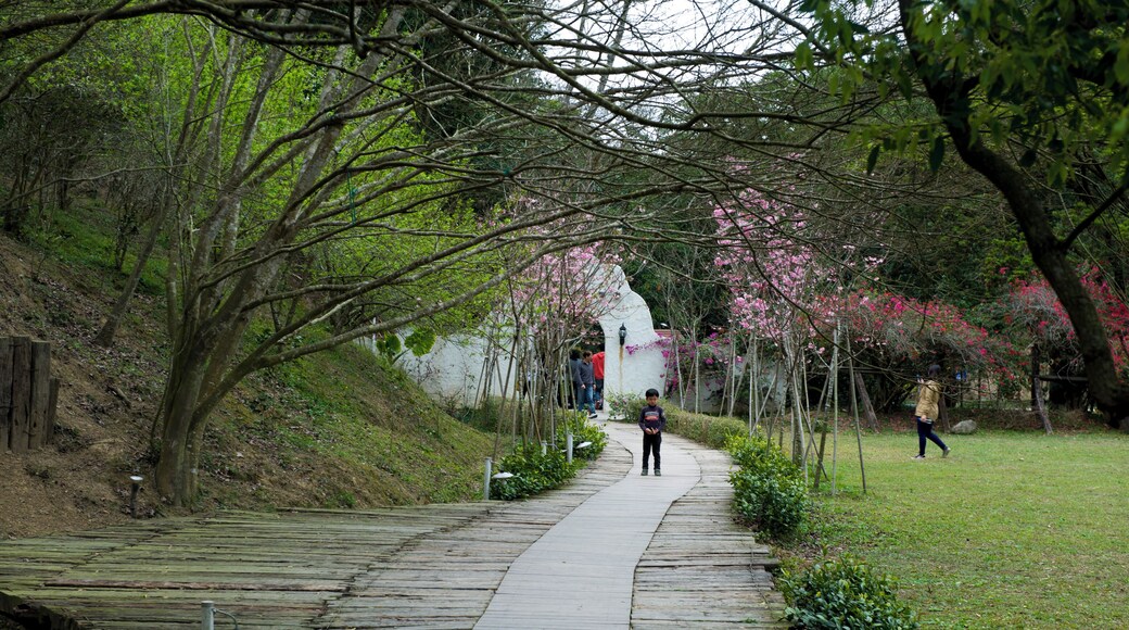 367, Taiwan, 苗栗縣三義鄉勝興村