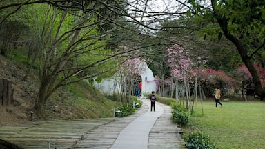 367, Taiwan, 苗栗縣三義鄉勝興村