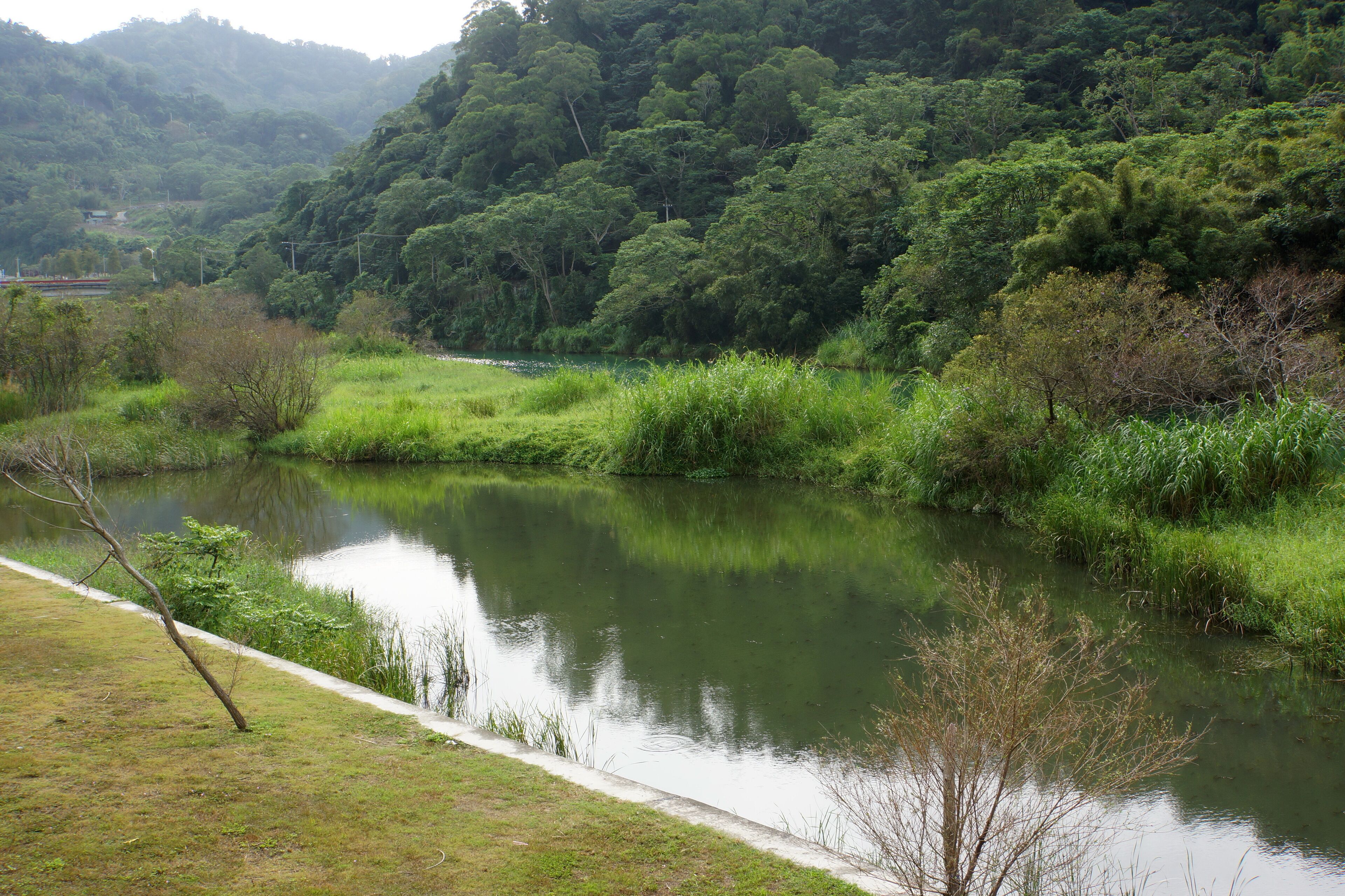 After Bay Eco Park 後池堰生態公園