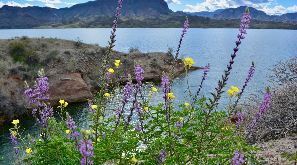 Cattail Cove State Park