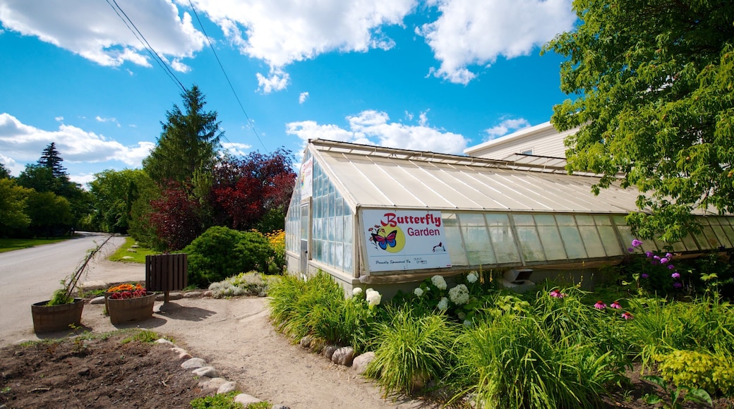 薩克屯 其中包括 動物園的動物 和 公園