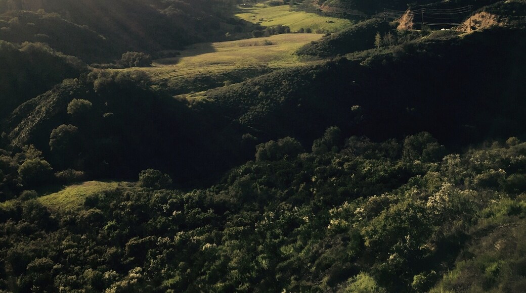 Beautiful place for hiking or climbing, specially on hidden trails
#malibu #california #malibucreekstatepark #hiking