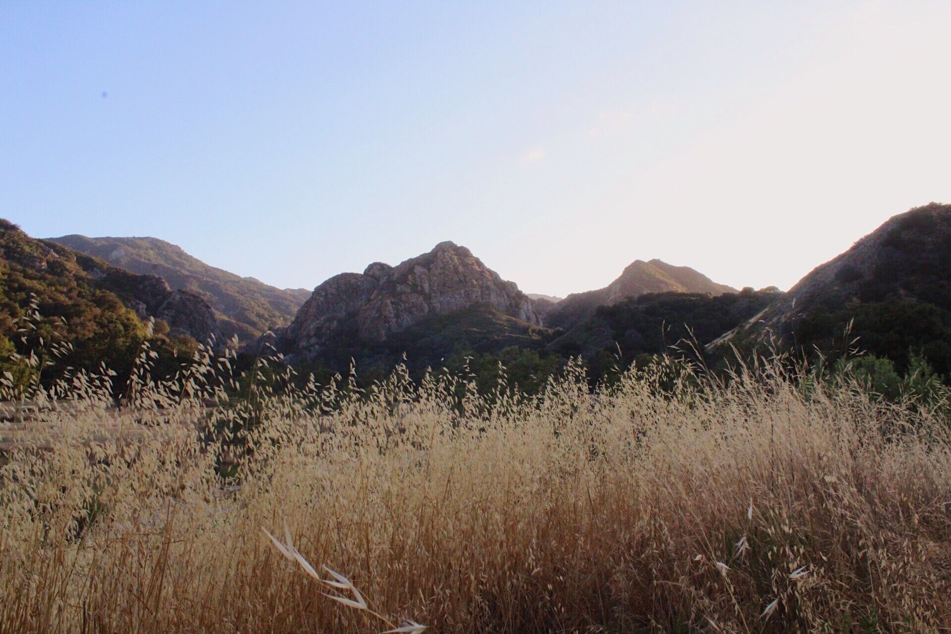 The glow in Malibu Creek like woah. 