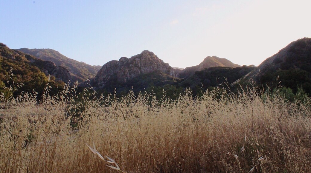 The glow in Malibu Creek like woah.