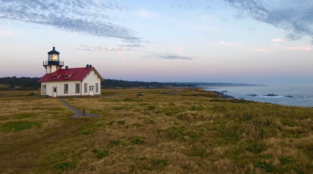 Not the sunset I was hoping for, but still a beautiful view of the lighthouse and Northern California coastline.