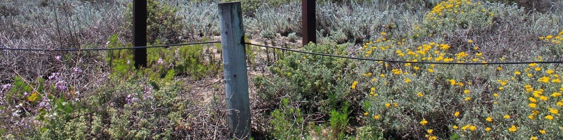 A sign for Salinas River State Beach, a California State Park.