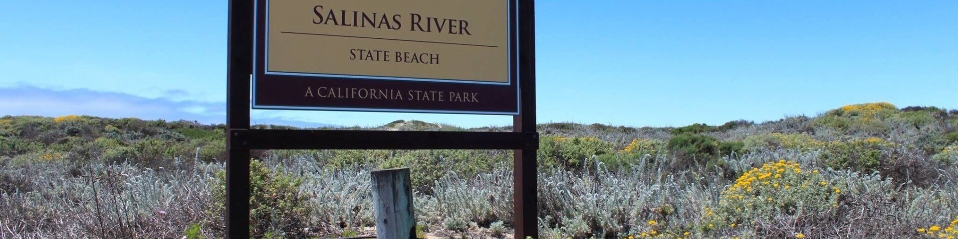 The beach and dunes at Salinas River State Beach are part of Monterey Bay’s unique coastal dune system and it is home to many species of birds, including the California brown pelican, red-tailed hawk, American kestrel, western snowy plover, western gull, black phoebe, western scrub-jay, California towhee, white-crowned sparrow, and more. The beach is a popular fishing site.