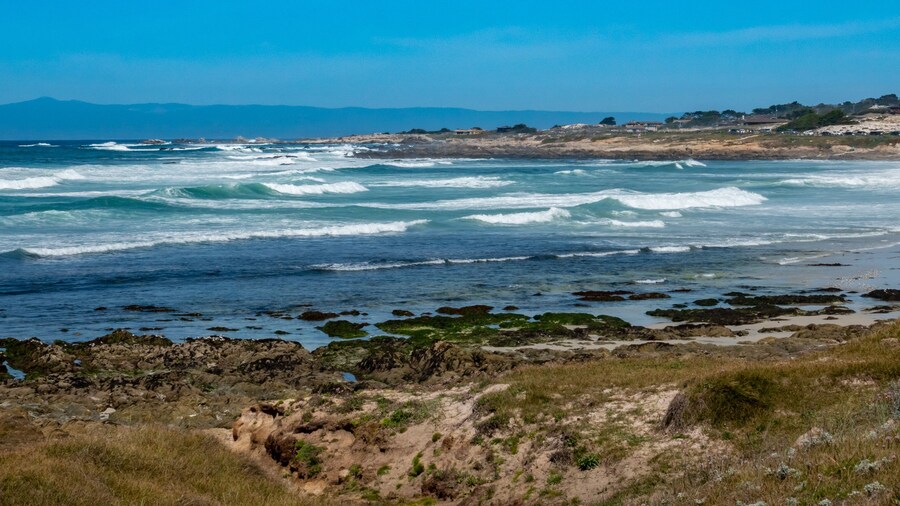 Khu bảo tồn thiên nhiên cồn cát Asilomar