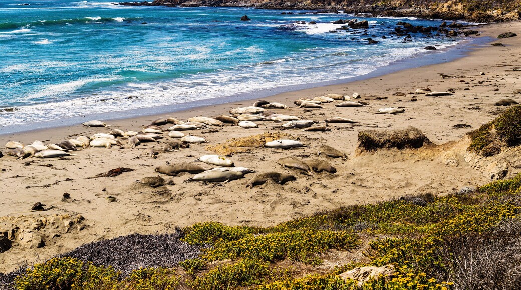 サンシメオン自然保護区