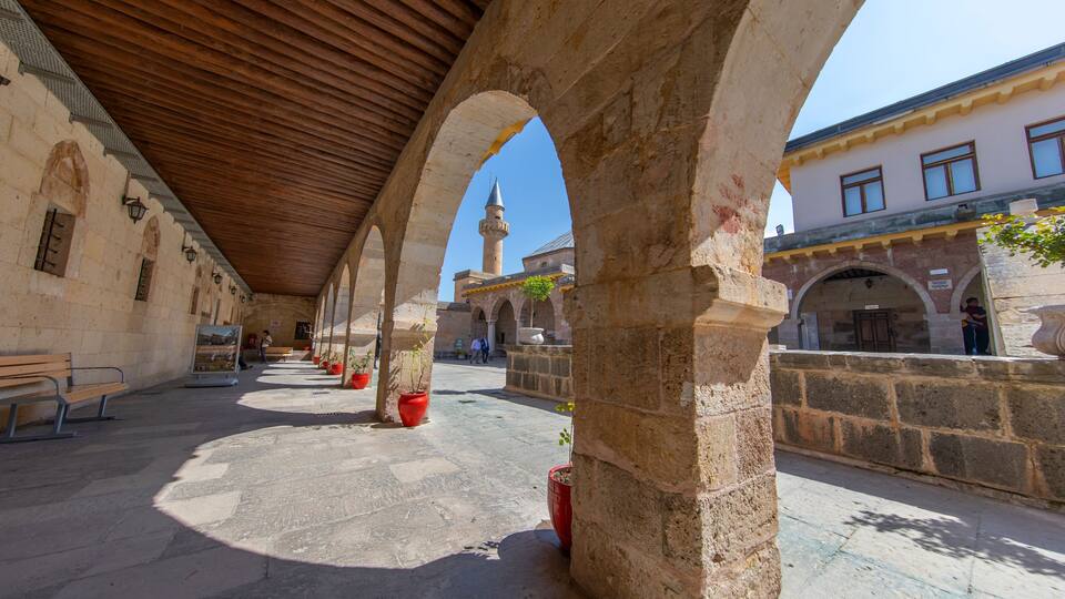 An open courtyard with stone arches, a wooden ceiling, and potted plants.