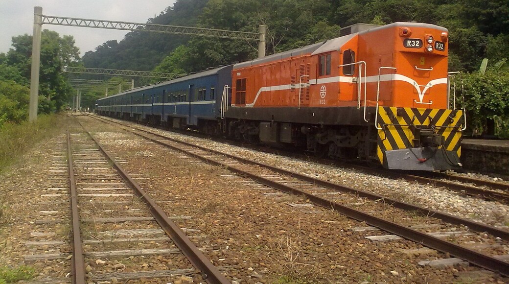 臺灣鐵路管理局R32柴電機車牽引普通車客車。
