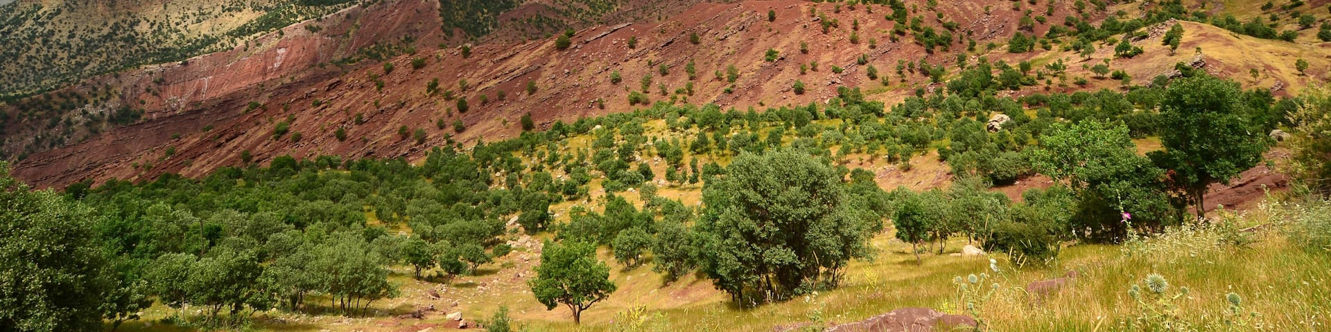 Siirt - Sirnak road in Turkey