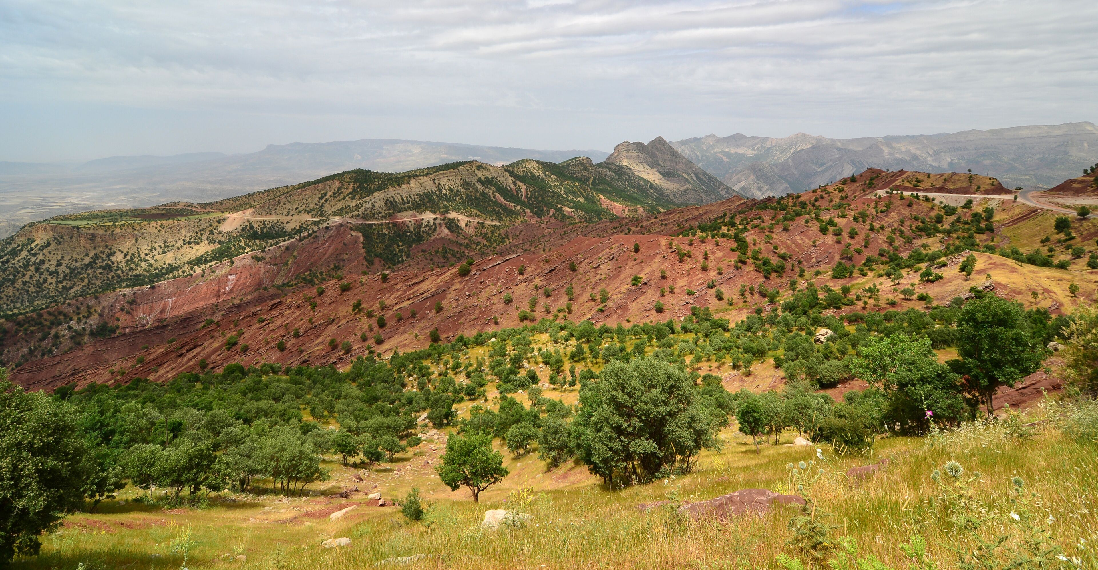 A mountainous landscape with green trees and a winding road.