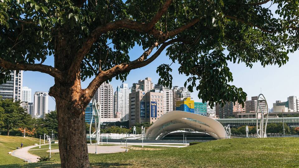 Un árbol en un parque con el horizonte de la ciudad al fondo.