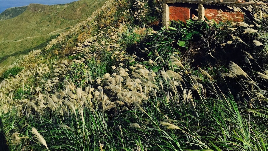 A beautiful day at Jinguashi! Took a detour and walked along a trail on the back of the Gold Museum. It will lead you to a parking lot with amazing view of the ocean, the mountains and the historical structured left from the mining industry from the turn of the century.