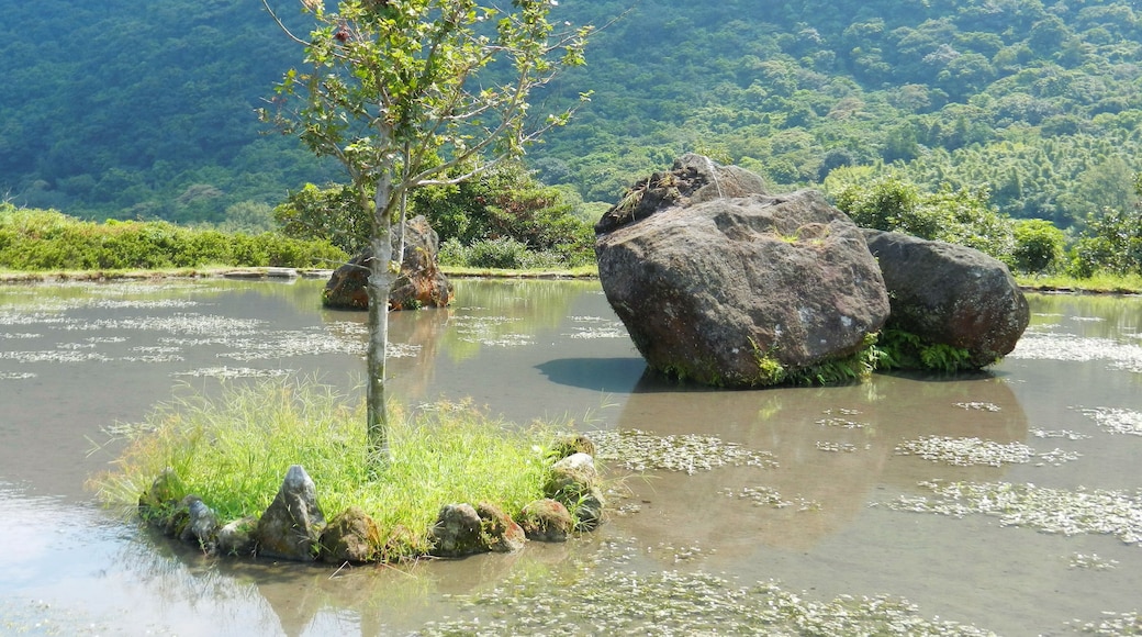 Bayan paddy field 八煙水中央
