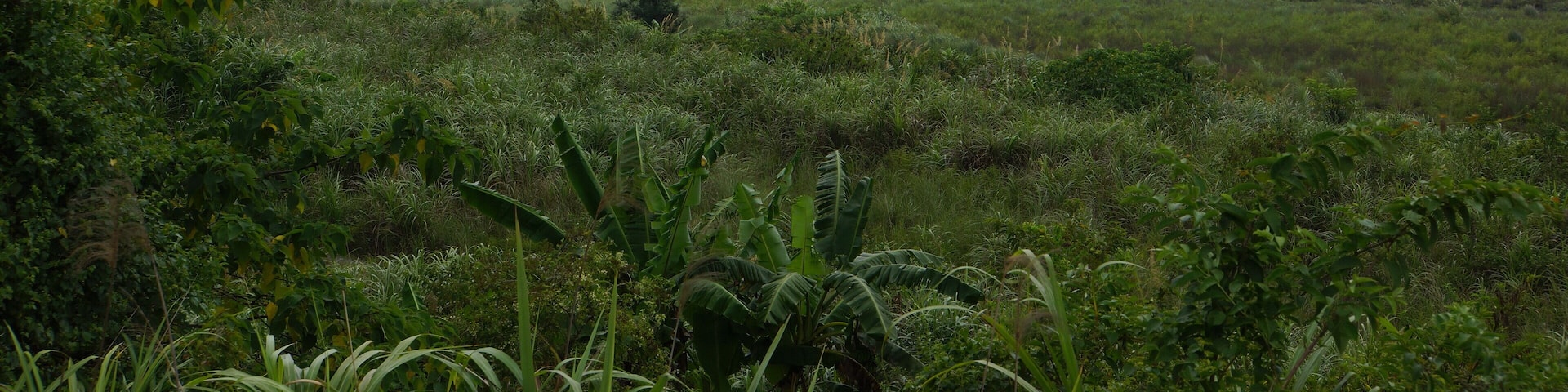Lanyang River 蘭陽溪