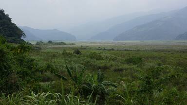 A misty valley with lush greenery and distant mountains.
