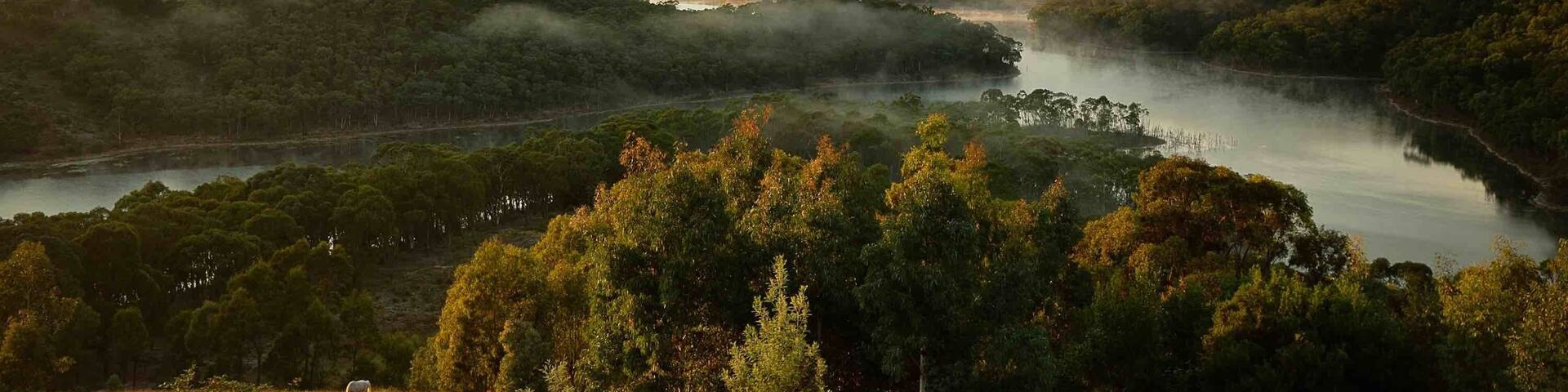 A fantastic place to stay when visiting the Blue Mountains area in Australia. Mornings like this and almost a dark sky for night / astrophotographers you just can’t go wrong. This is the actual view from the balcony of the room.