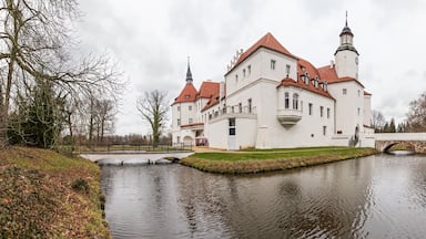 A large white castle with red roofs and a moat.