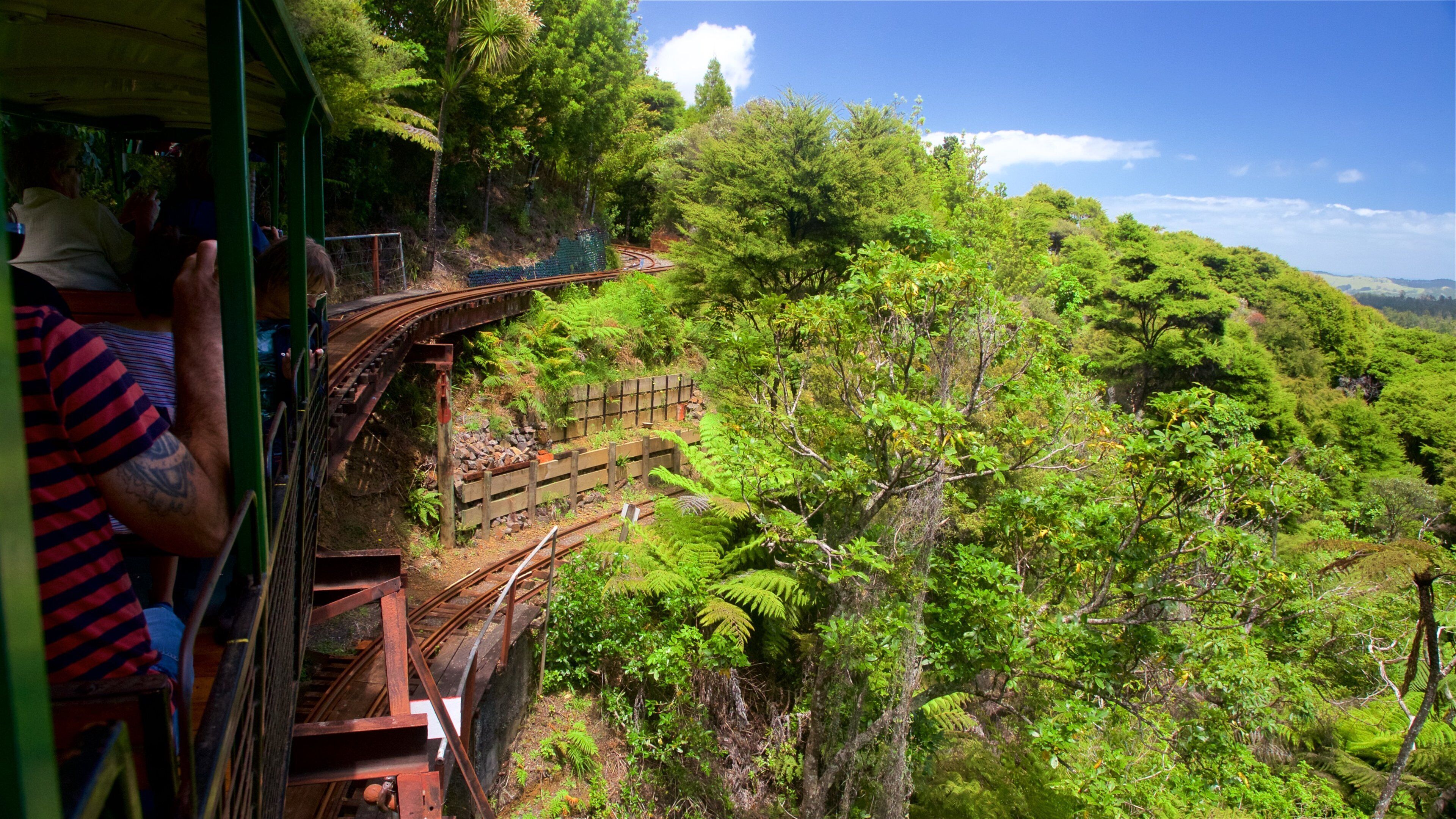 Driving Creek Railway featuring railway items and forests