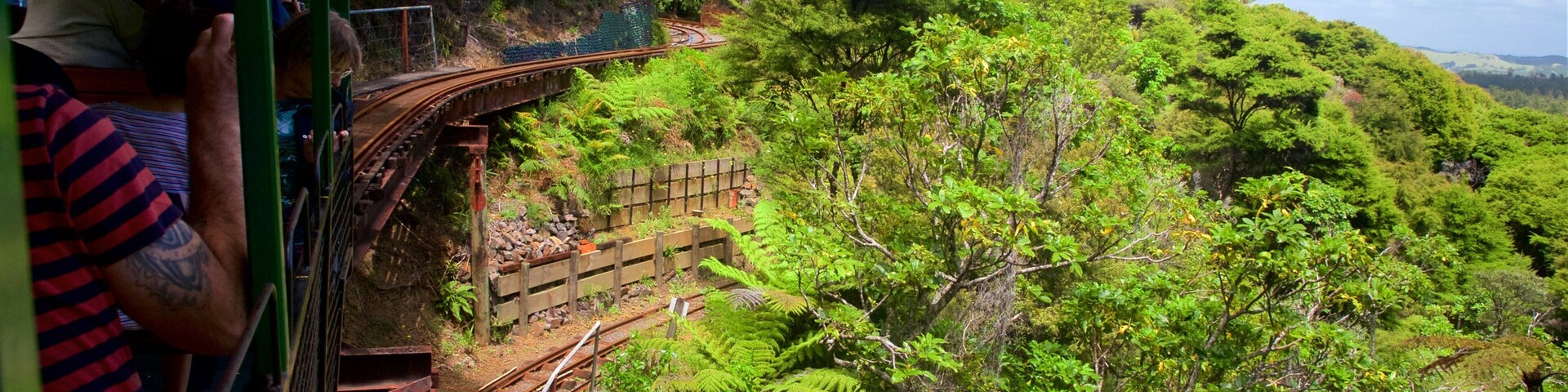 Driving Creek Railway featuring railway items and forests