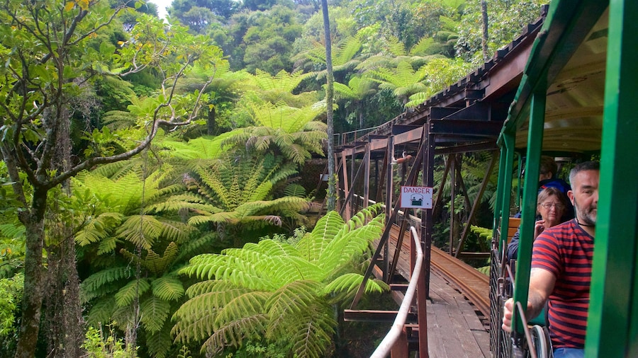 Ferrocarril Driving Creek Railway ofreciendo artículos de ferrocarril y bosques y también un pequeño grupo de personas