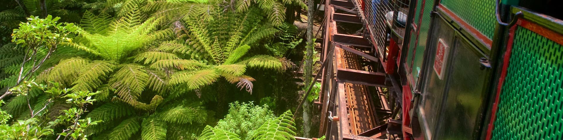 Driving Creek Railway showing railway items and forests