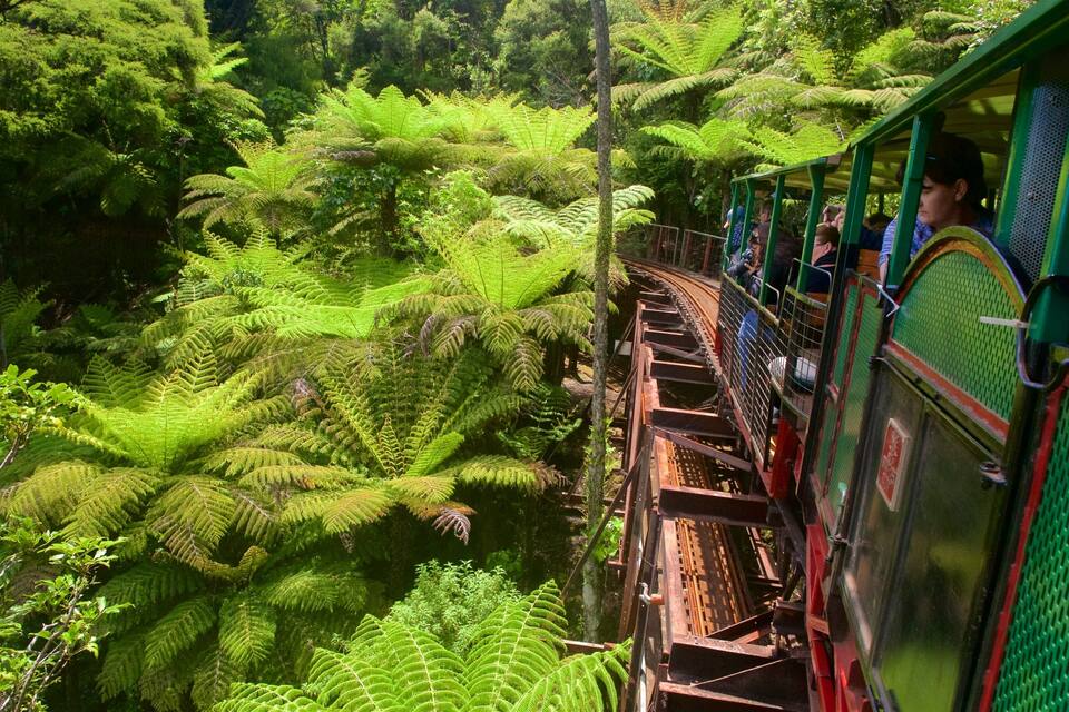 Un voyage en train à travers une forêt dense et verdoyante, avec un pont en bois.