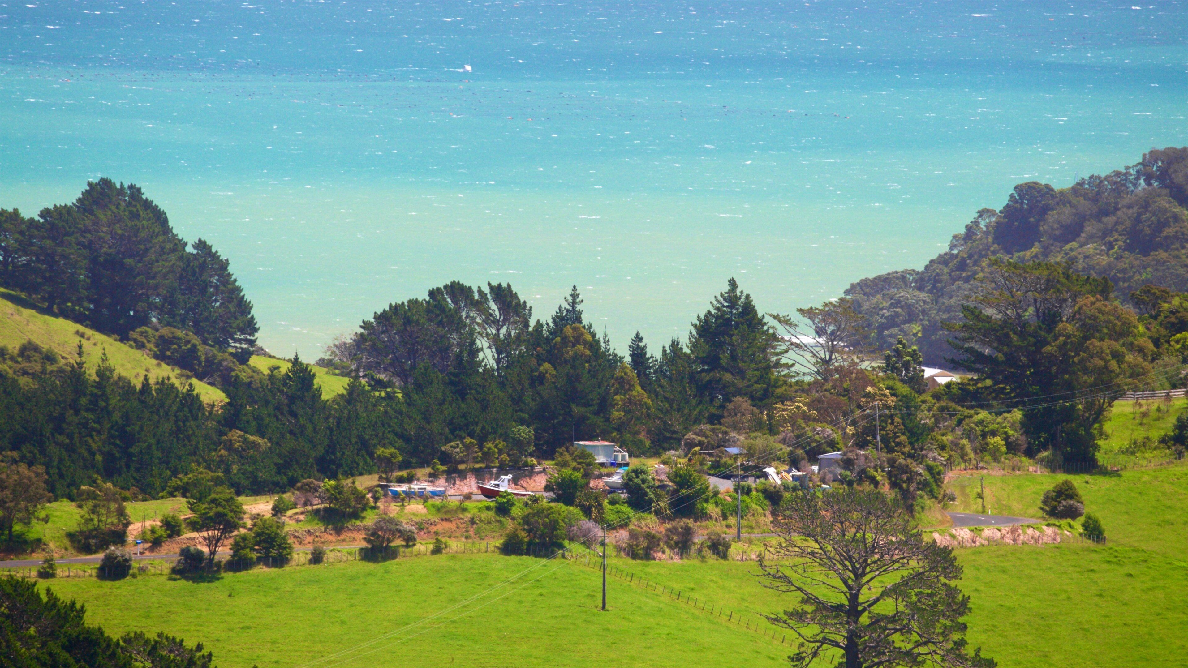 Ferrocarril Driving Creek Railway ofreciendo situaciones tranquilas, vistas de una costa y vistas panorámicas