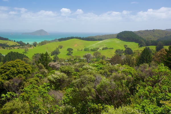 A lush green landscape with rolling hills, a coastal view, and a distant mountain.