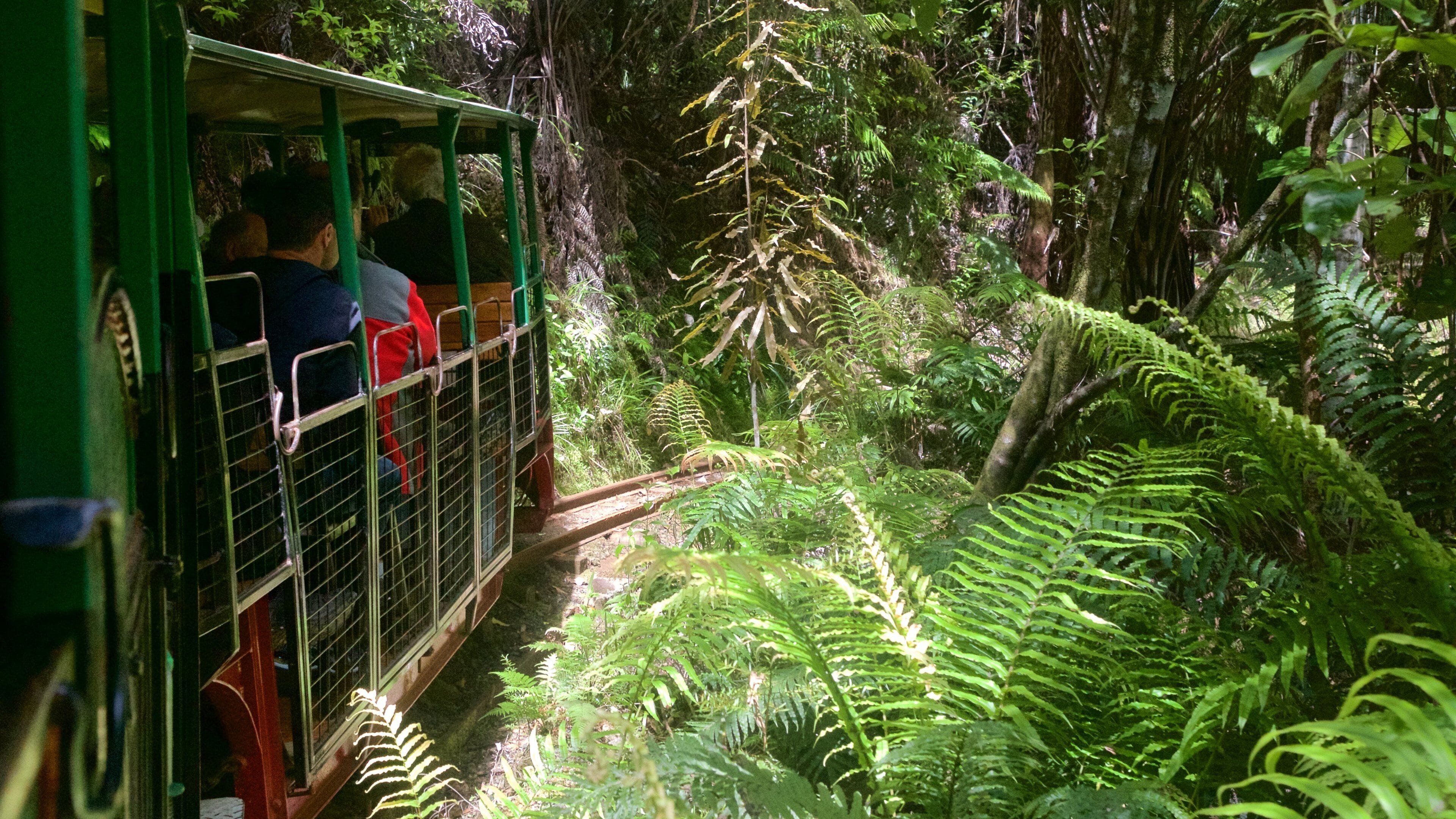 Driving Creek Railway which includes railway items and forests as well as a small group of people