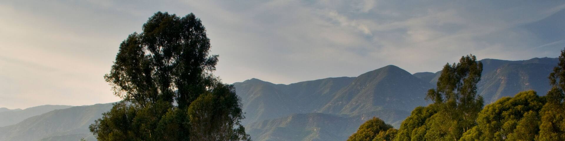 C3WN0R Oak trees and golf course at sunset, Ojai Valley Inn and Spa, Ojai, California