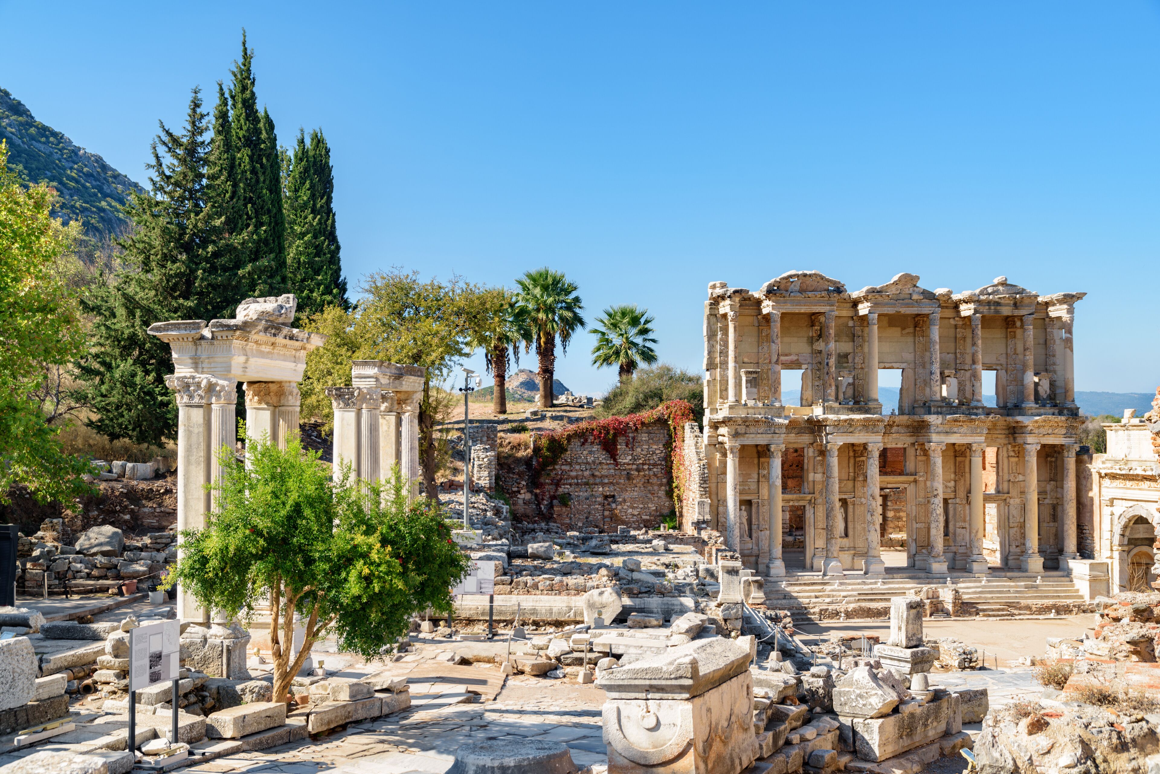 Celsus bibliotek