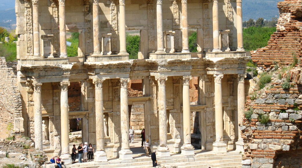 ケルスス図書館