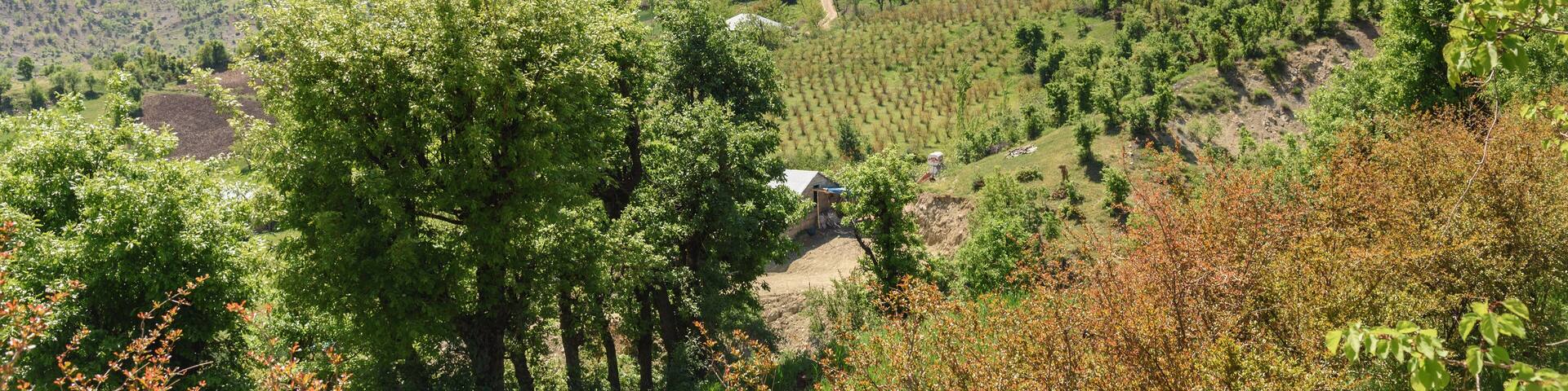 Landscape in Karadut Village. Turkey