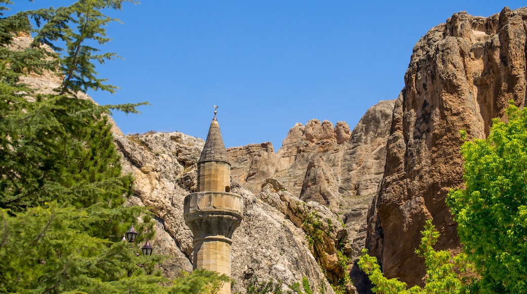 Darende Malatya, Turkey Somuncu father's tomb. Minaret, trees and blue sky.