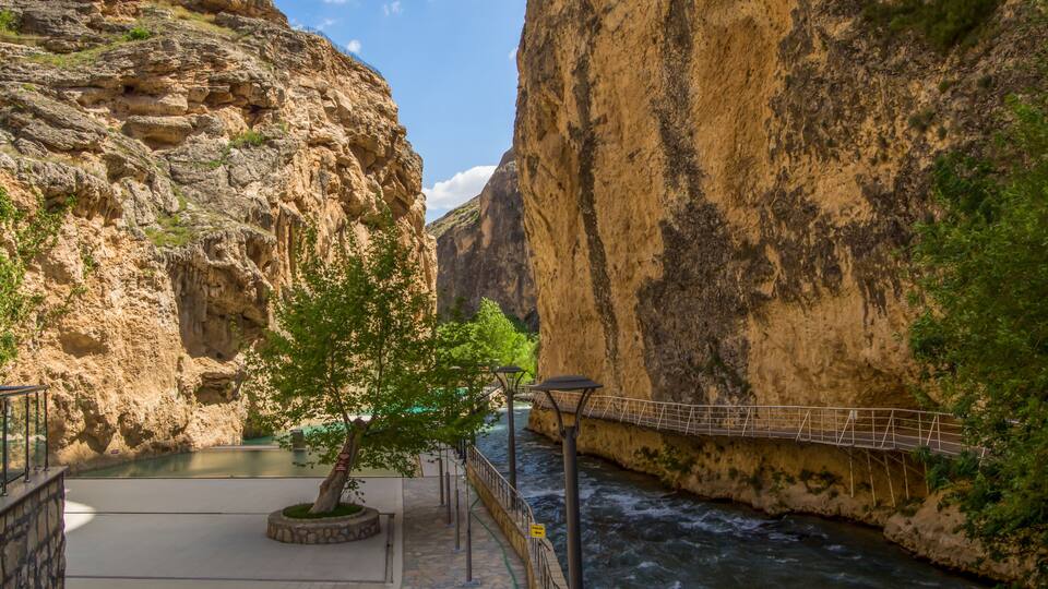 A river canyon with a pedestrian bridge, rocky cliffs, and a small tree.