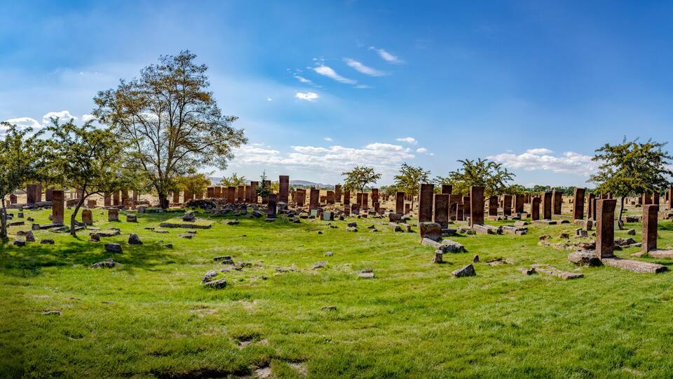 An ancient ruin site with stone columns and tombs, surrounded by green grass and trees.