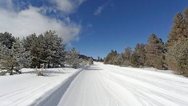 A snow-covered ski trail with trees on either side and a clear blue sky.